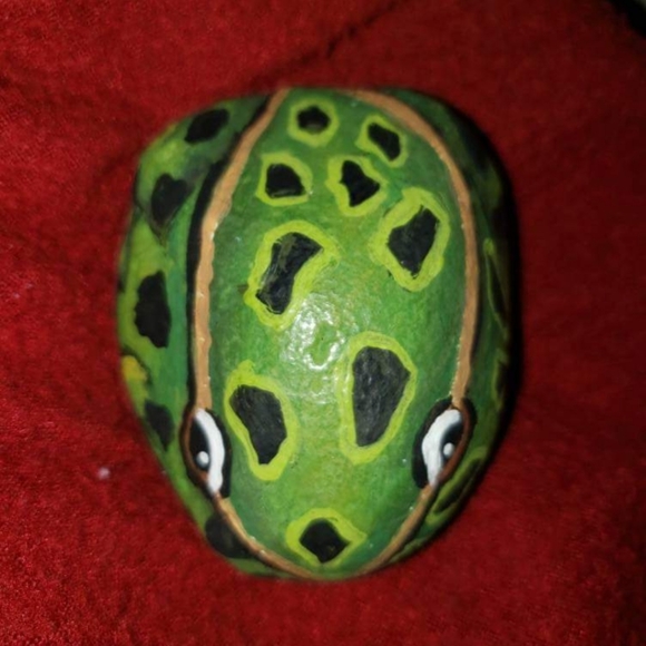 Painted Rocks Frog Rock Stone Painting Home Decor - Picture 1 of 2